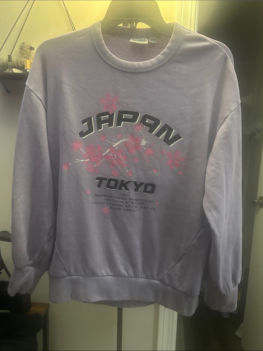 Lavender Japan Tokyo Graphic Crewneck Sweater - Unbranded